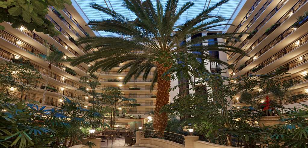 Embassy Suites San Francisco Airport - South San Francisco Beltér fotó